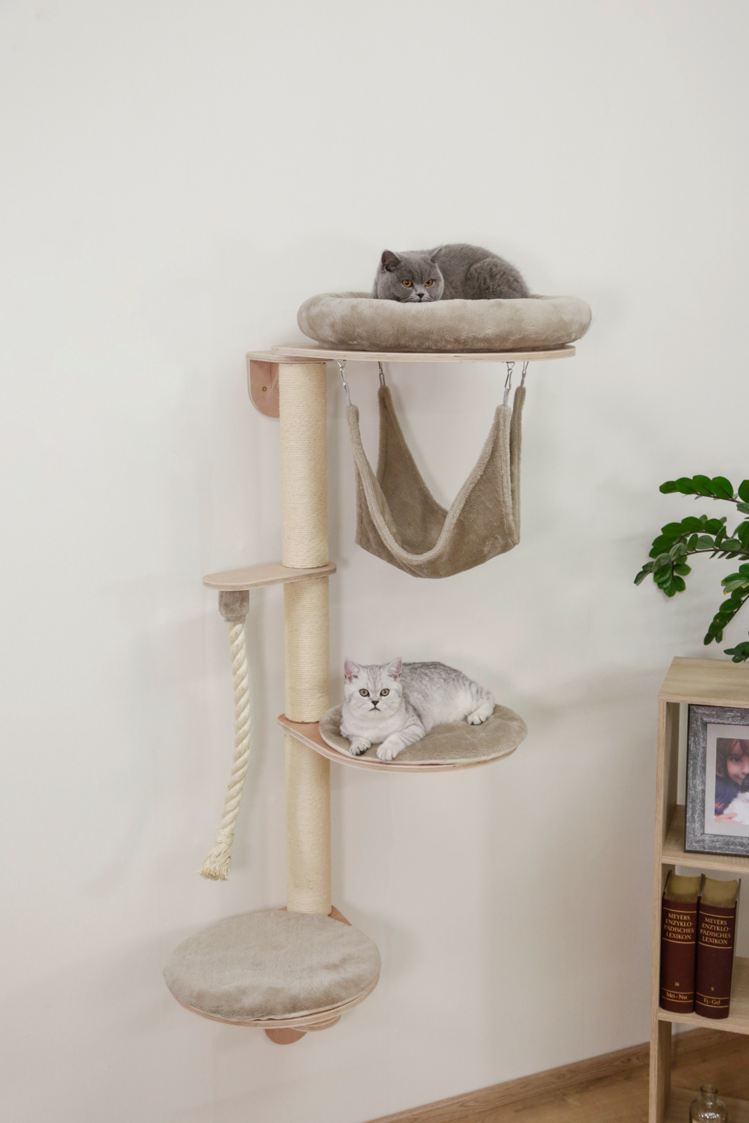 Kerbl Pet Dolomit Grappa Albero per Gatti da Parete Amaca