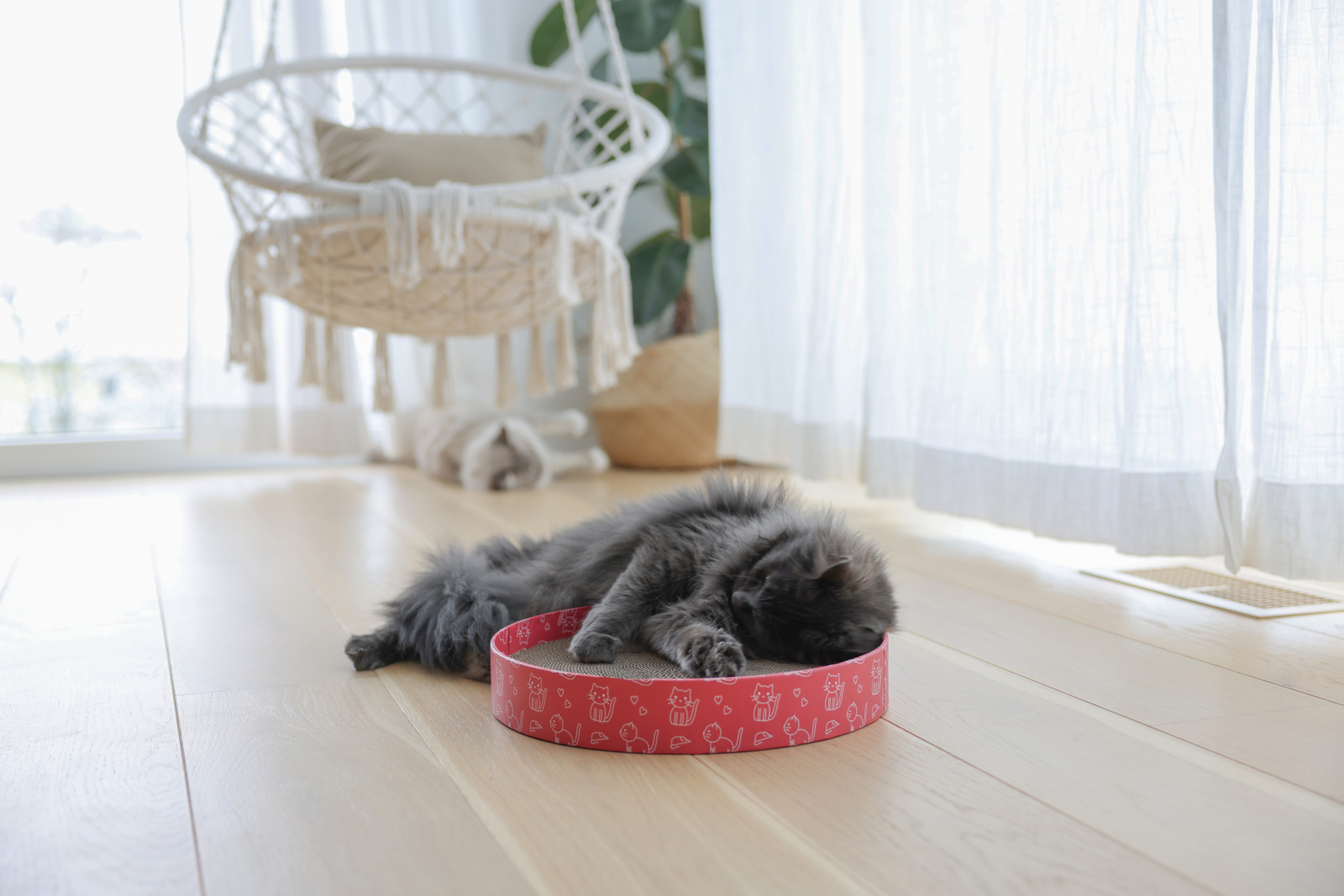 Kerbl Cat Scratch Bed Circle tiragraffi gatto cartone catnip