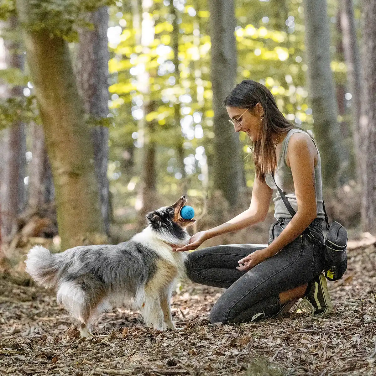 Rudelkönig palla cane caucciù arancione blu da riporto