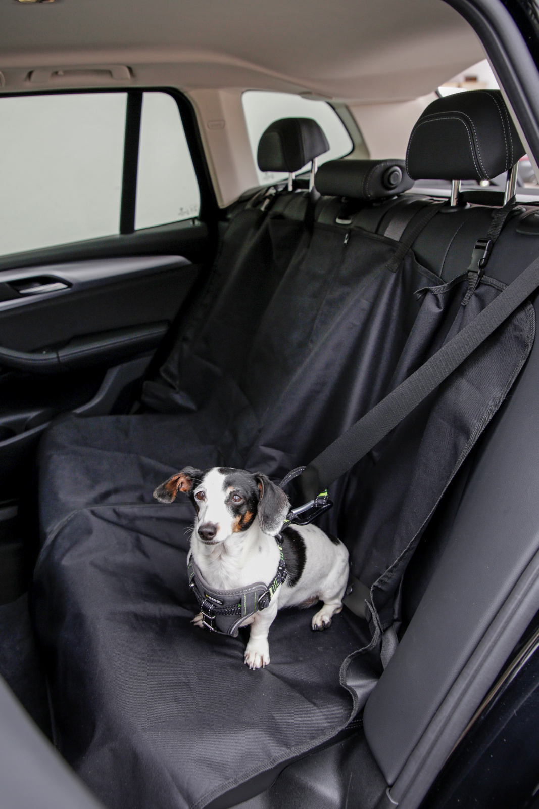 Kerbl Pet Dog Home Protective Rug coprisedile auto poliestere