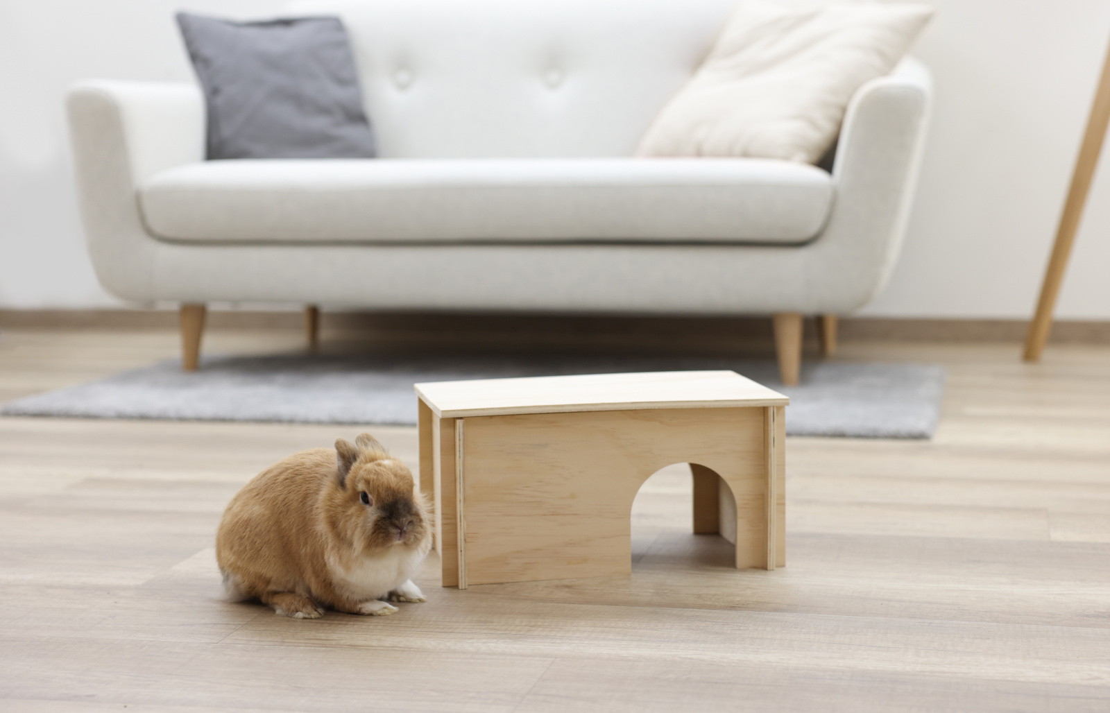 Kerbl Pet Rodent Cabin Natural casetta roditori legno