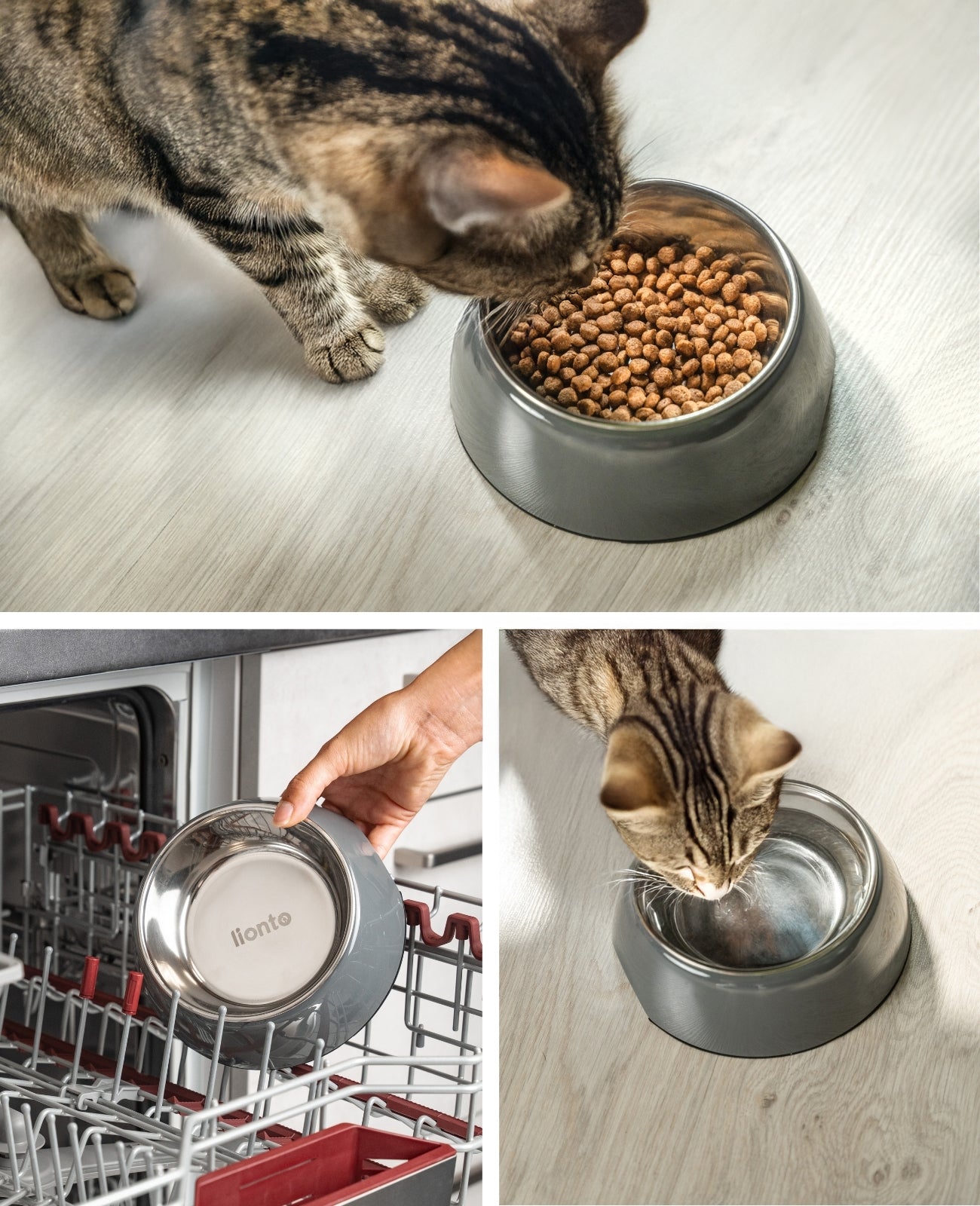Lionto Katzenäpfe ciotola gatti nera 420 ml acciaio antiscivolo
