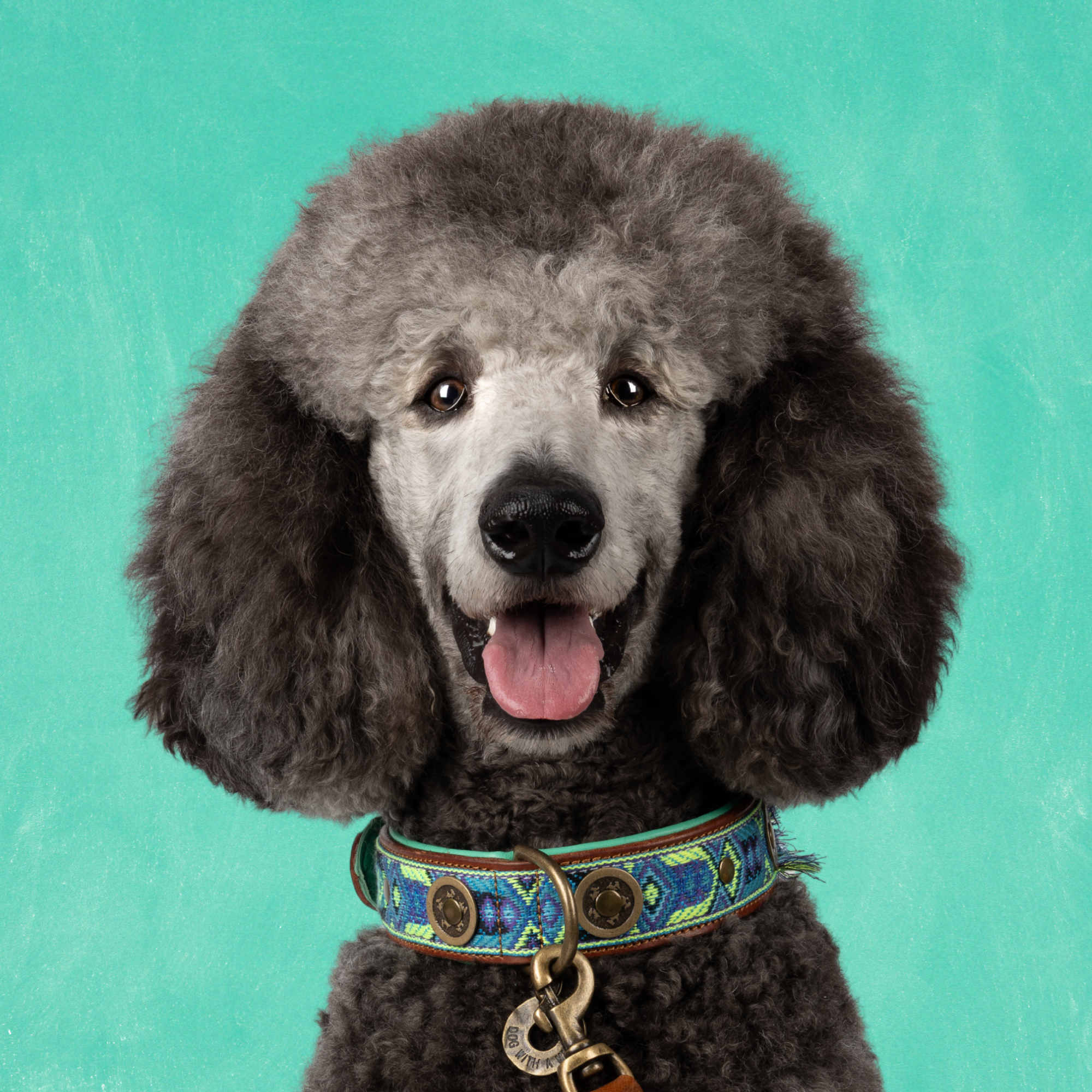 Dog with a Mission Boho Juan collare cane pelle marrone L 40-47 cm
