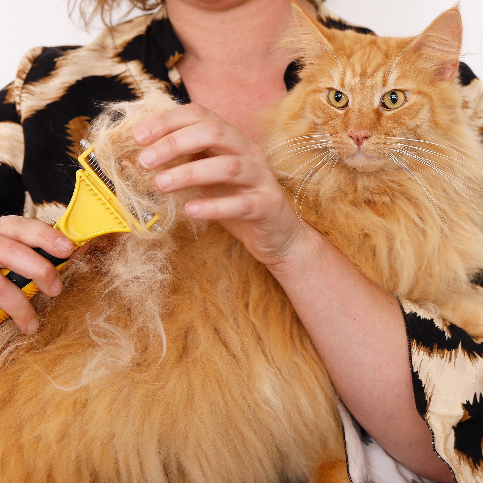 Lionto Katzenbürsten spazzola autopulente pelo lungo nero-giallo