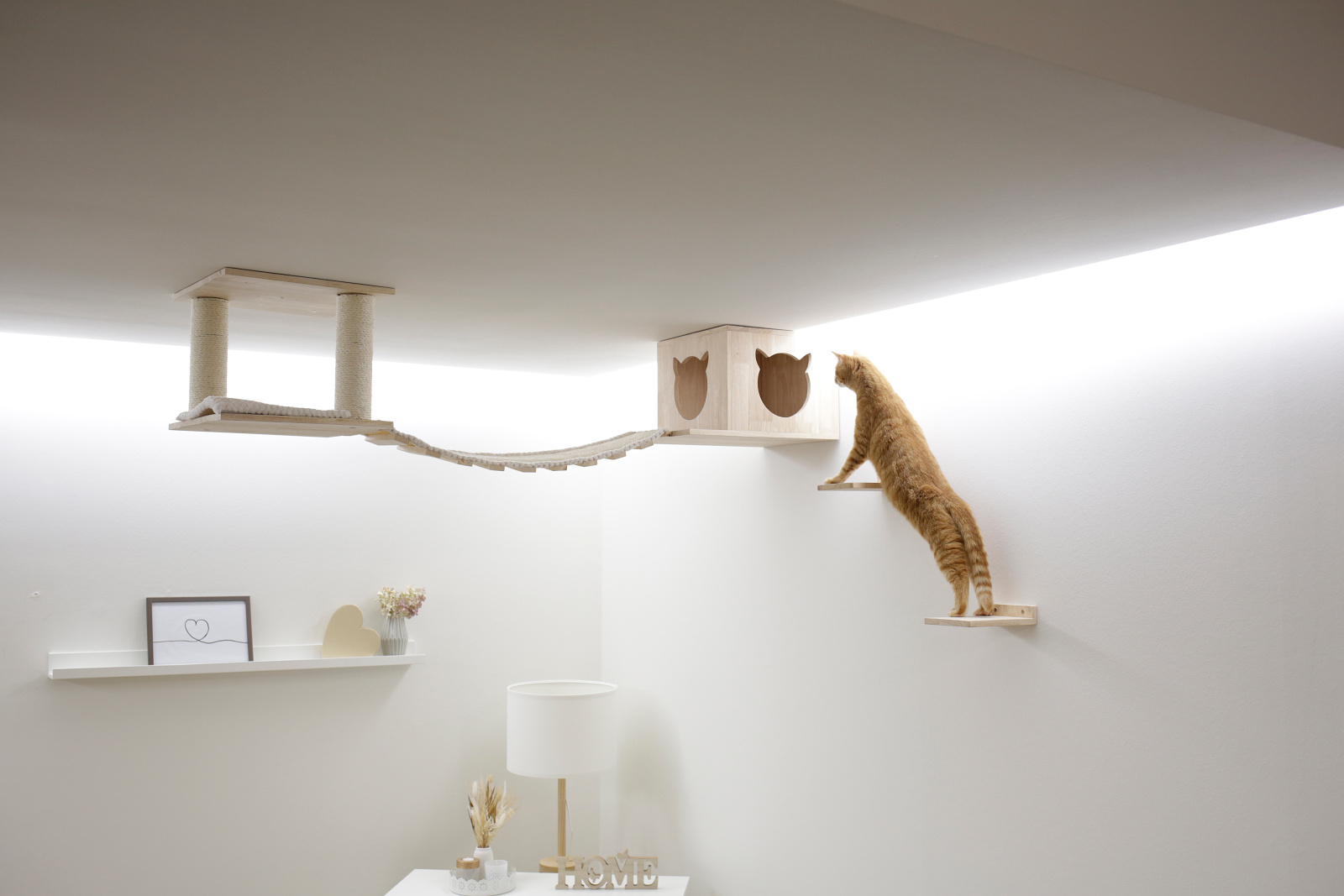 Kerbl Cat Scratch Top parete arrampicata gatto legno 5 pezzi