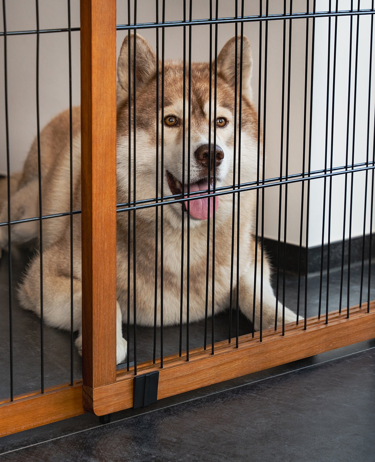 Lionto Welpenschutzgitter cancello per cani 71 cm estensibile