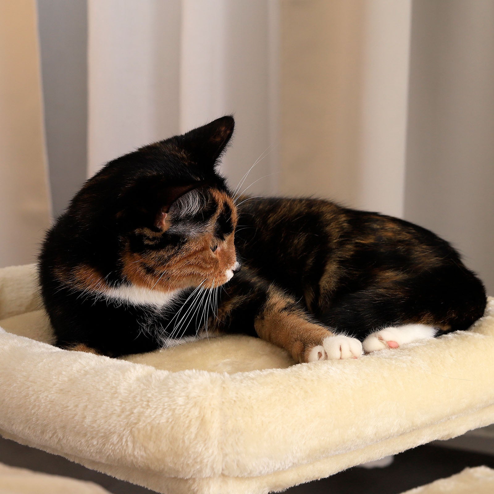Lionto Katzenkratzbäume tiragraffi gatto 50 cm grigio sisal