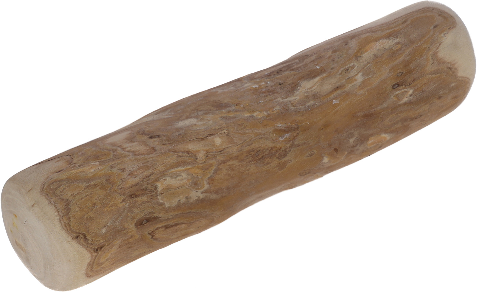Kerbl Pet Bastone Masticativo Legno di Caffè per Cani