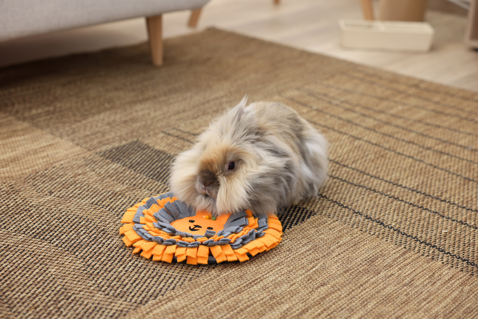 Kerbl Pet Sniff Rug tappeto olfattivo rotondo per roditori