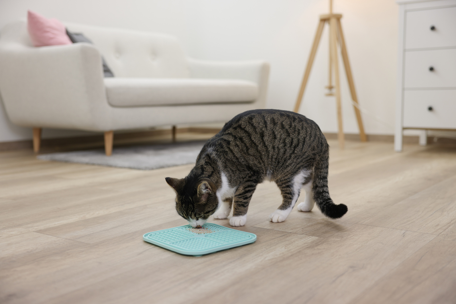 Kerbl Pet Lick Mat tappetino cane silicone ventose