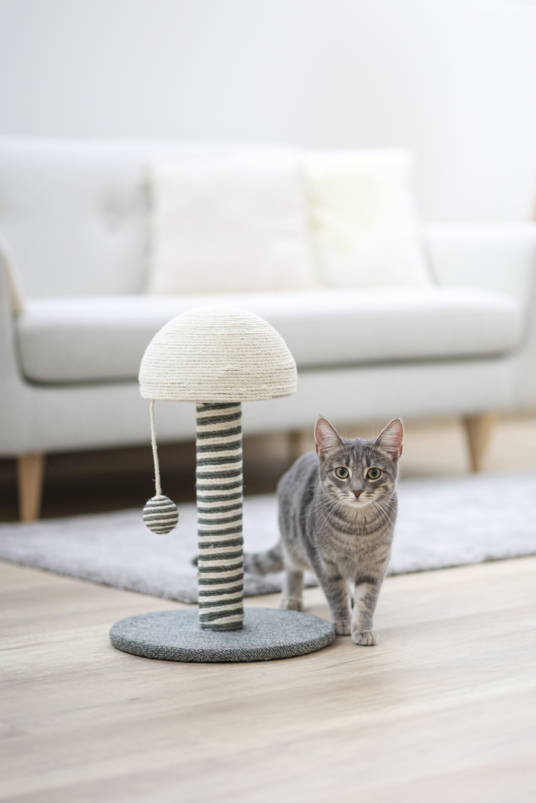 Kerbl Cat Scratch Funghi Tiragraffi Gatto Colonna Sisal