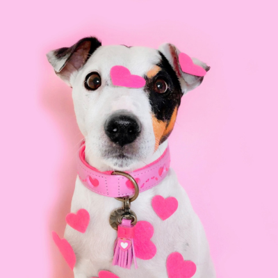 Dog with a Mission Sweety collare pelle cane XS rosa cuori