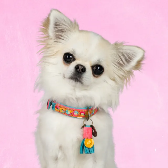 Dog with a Mission Indian Summer Collare XXS Rosa Pelle