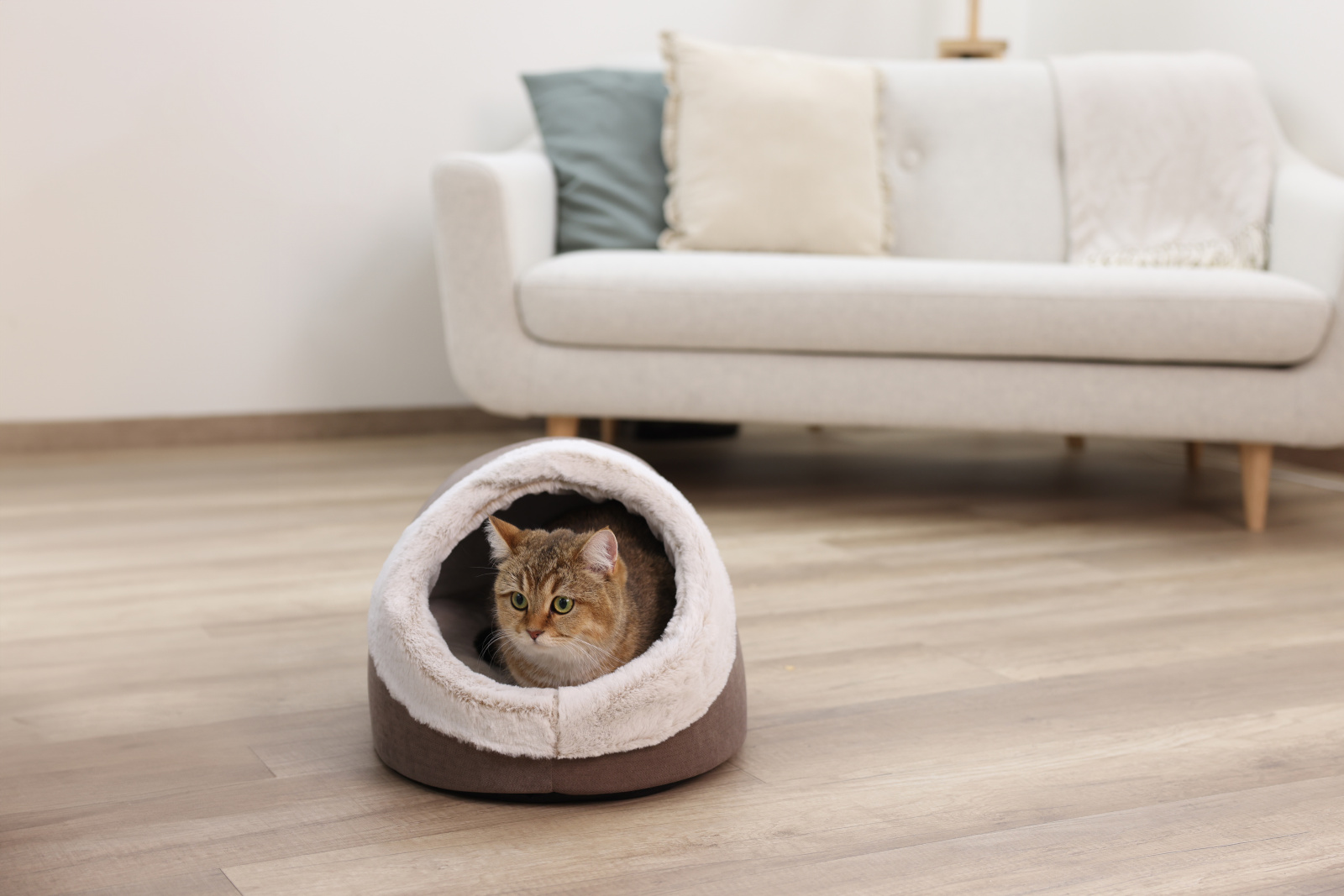 Kerbl Pet Jana cuccia grotta per gatti in peluche