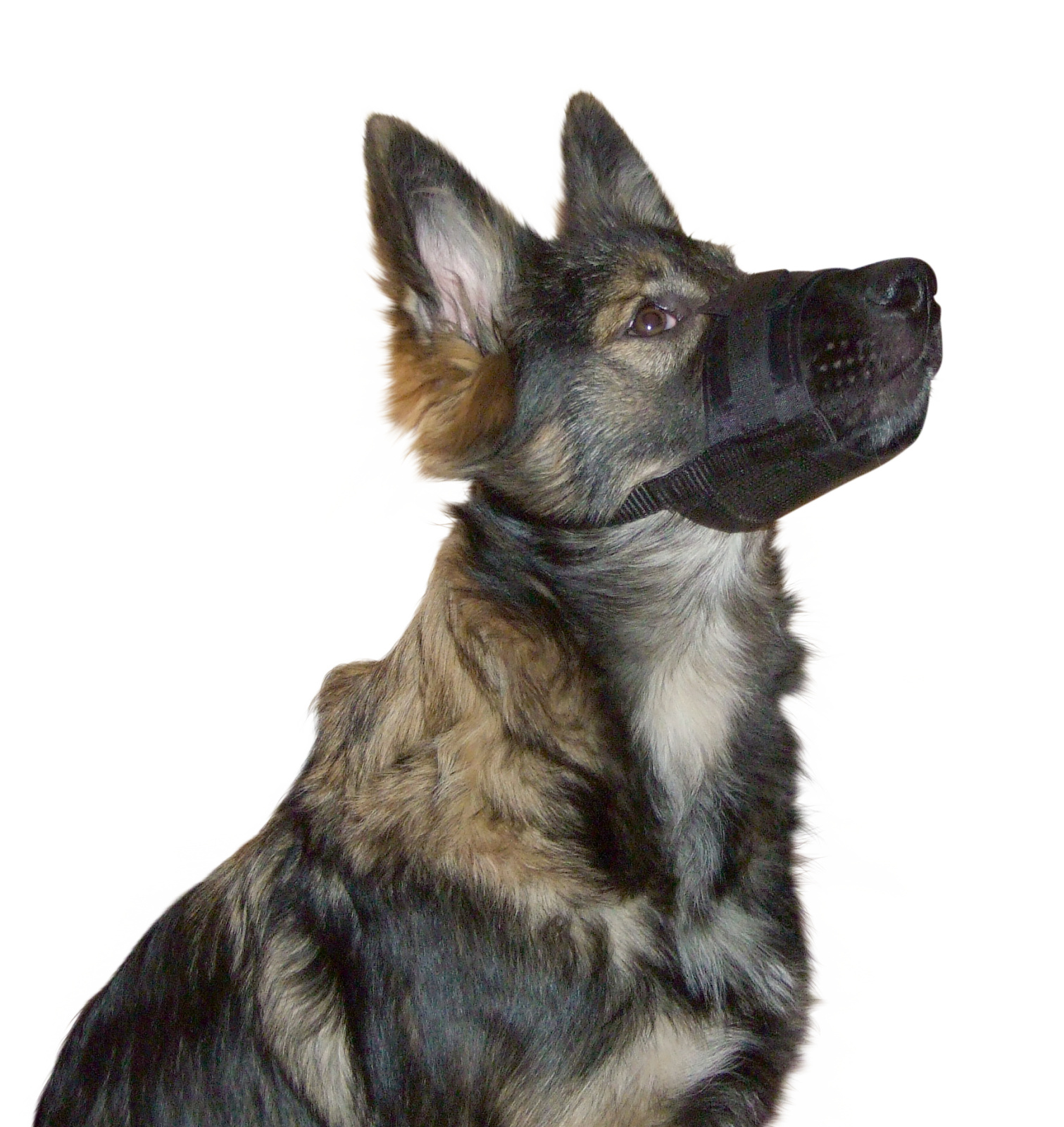 Kerbl Pet Muzzle Nylon museruola cane regolabile rete