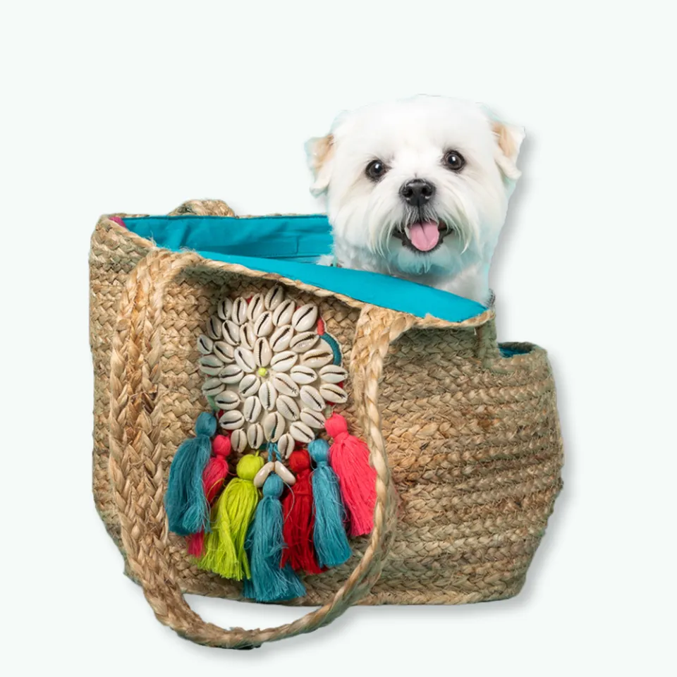 Dog with a Mission Woodstock Borsa Cane 3 kg Spiaggia