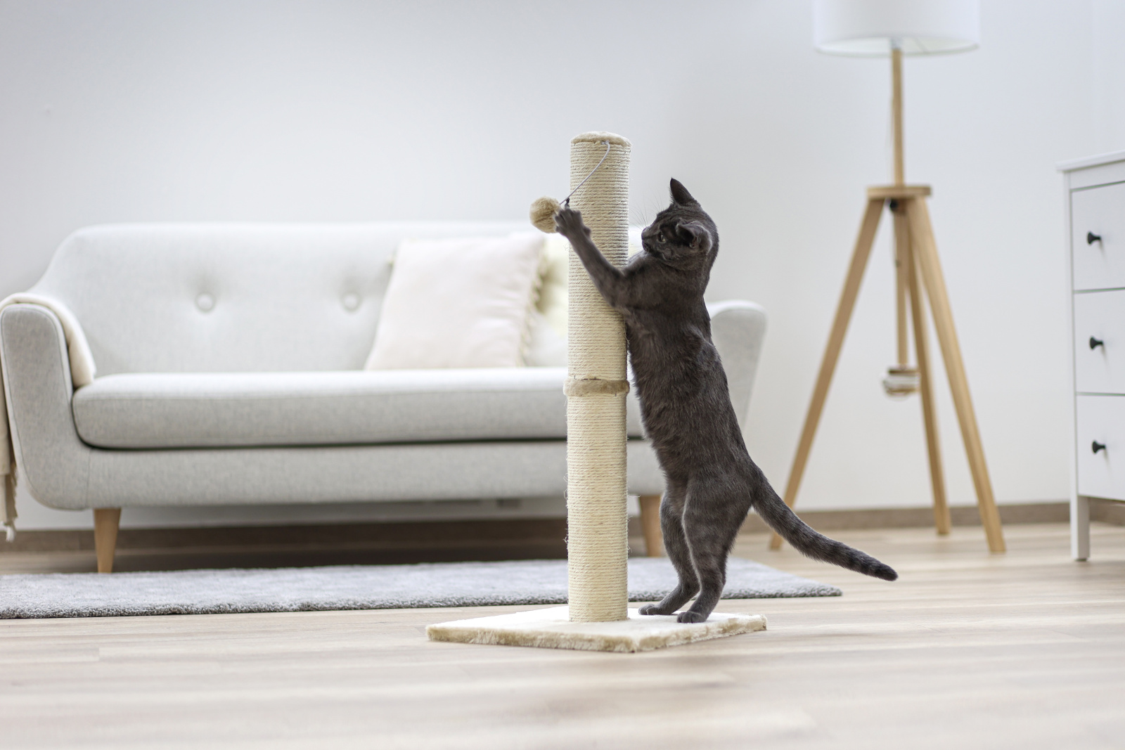 Kerbl Pet Opal Maxi tiragraffi colonna sisal con palla per gatti
