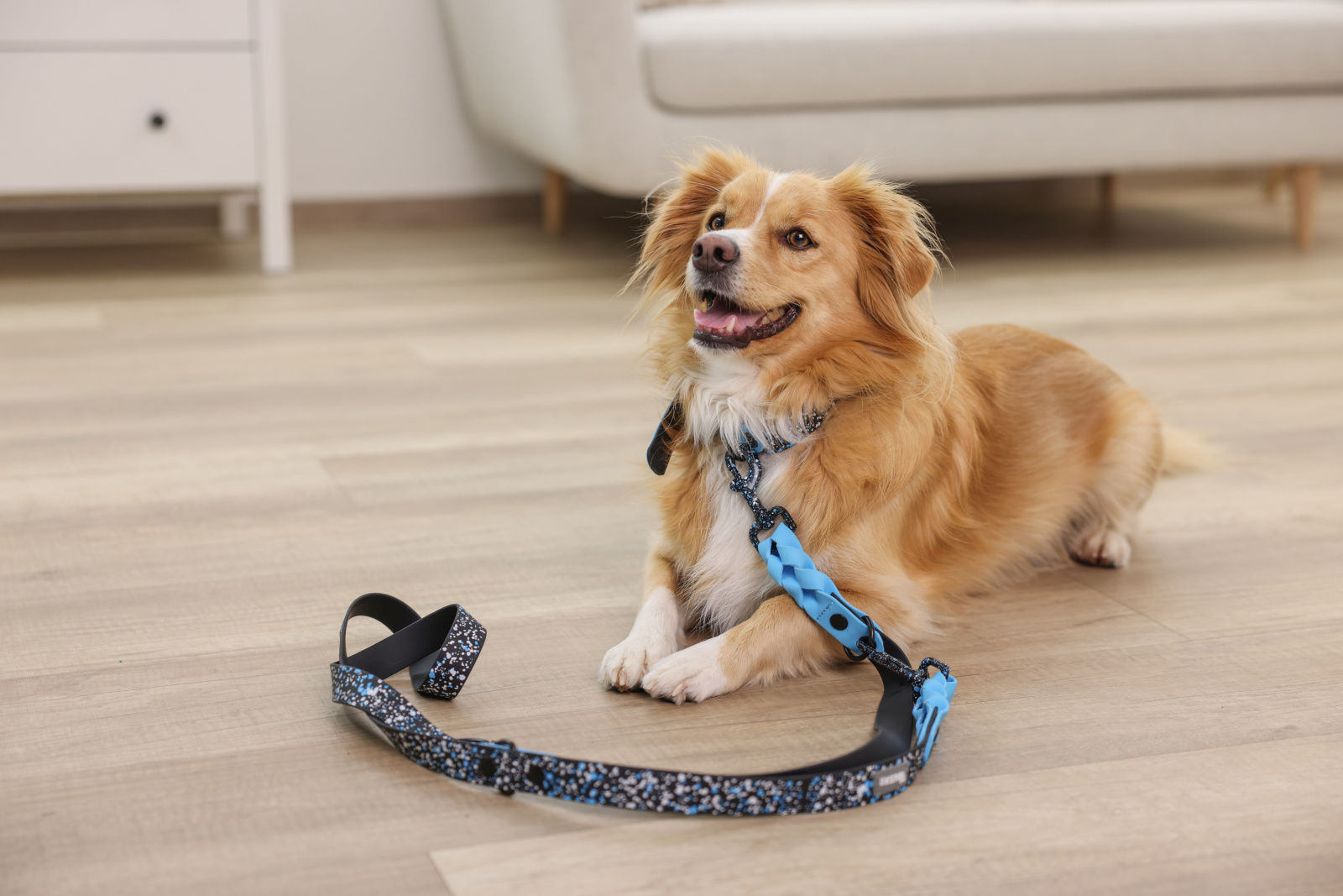 Kerbl Pet Lima collare cane plastica impermeabile splash