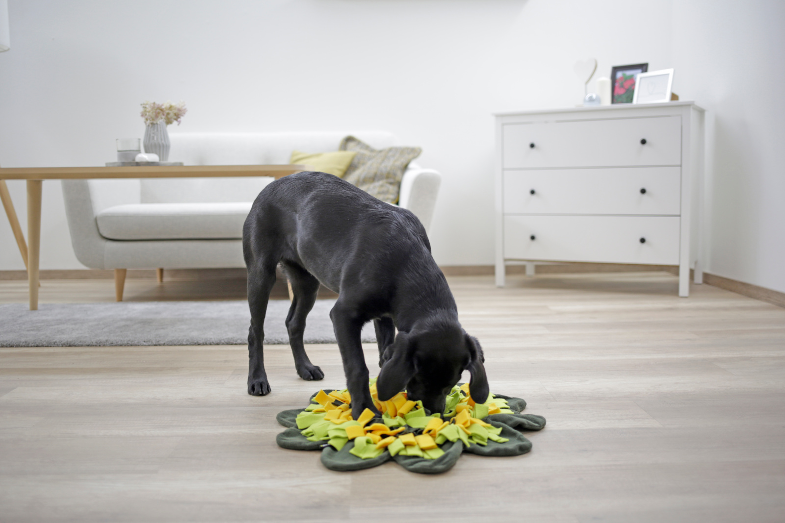 Kerbl Pet Sunflower tappeto olfattivo cane rotondo