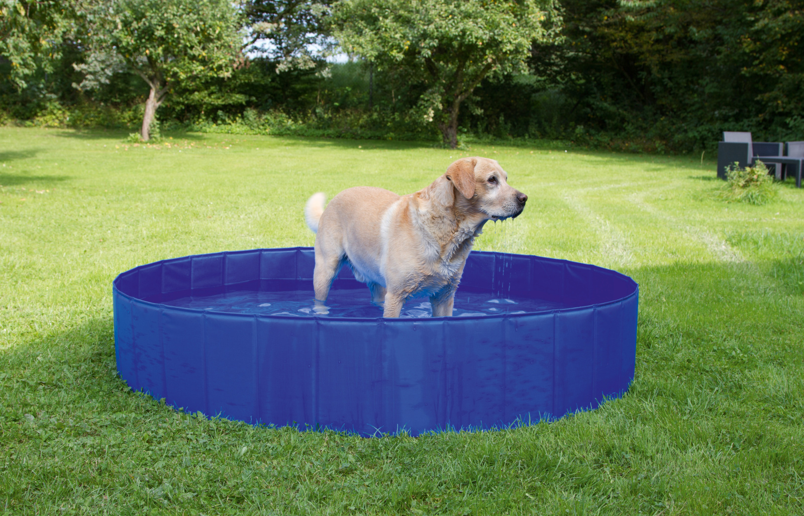 Kerbl Pet Dog Pool piscina cane pieghevole antiscivolo