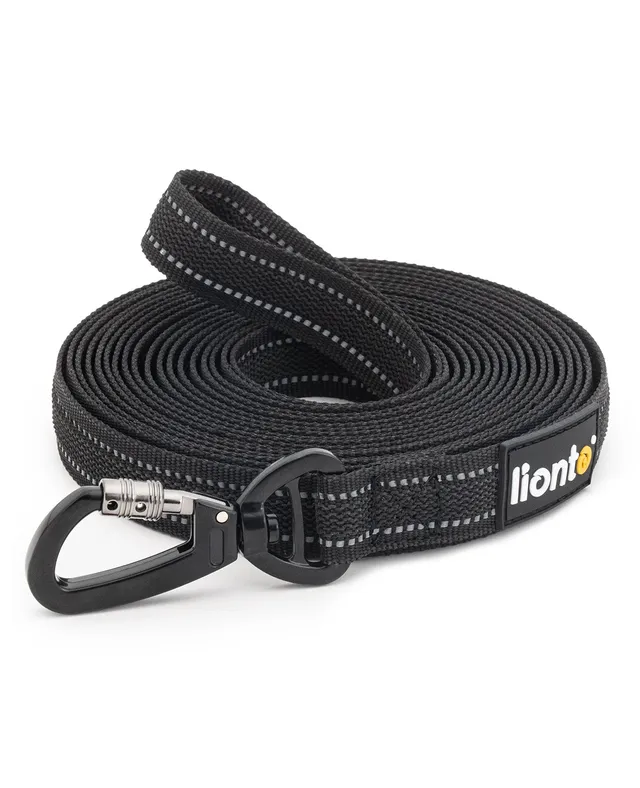 Lionto Hunde-Spaziergang lunghina gommata cani 5 m riflettente