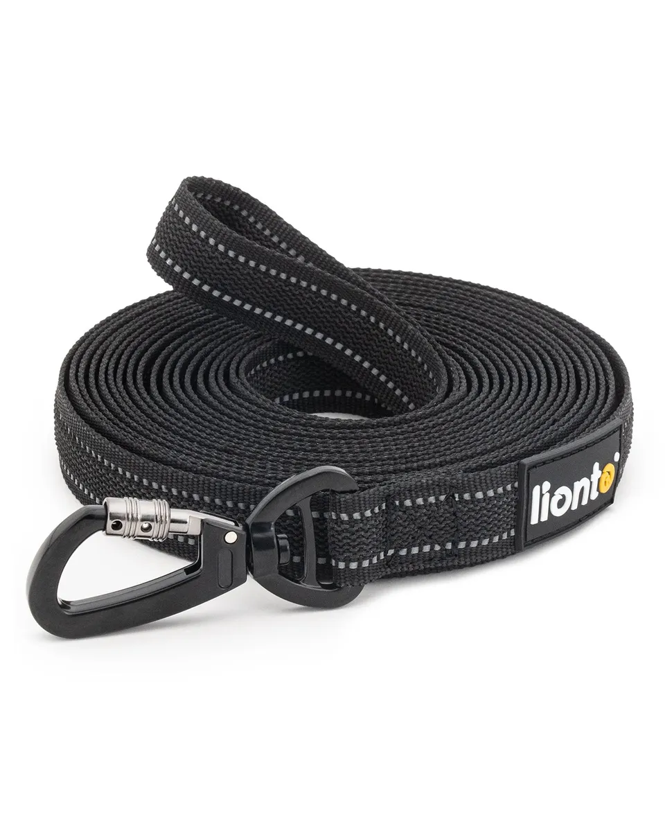 Lionto Hunde-Spaziergang lunghina gommata cani 5 m riflettente