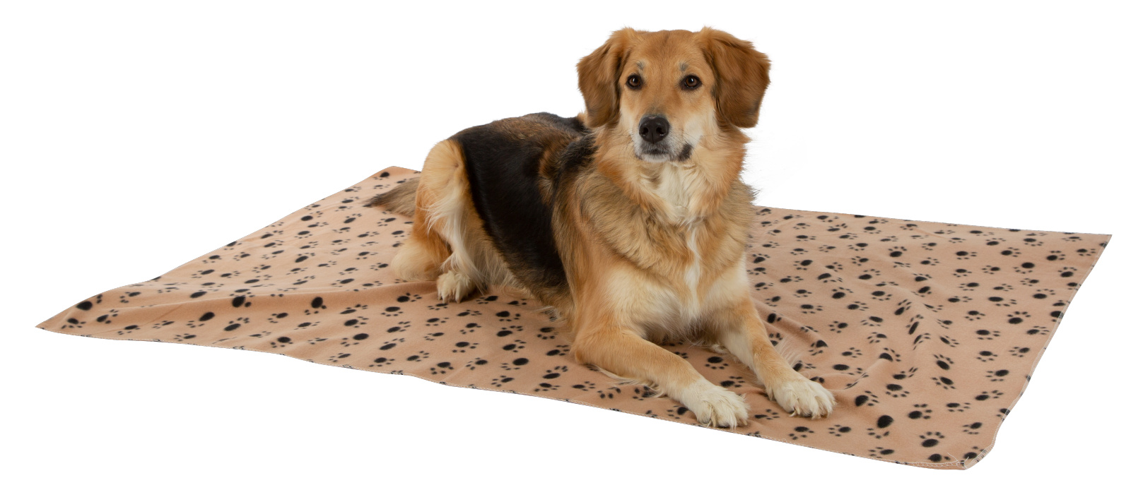 Kerbl Stella coperta cane 140x100 grigia stelle