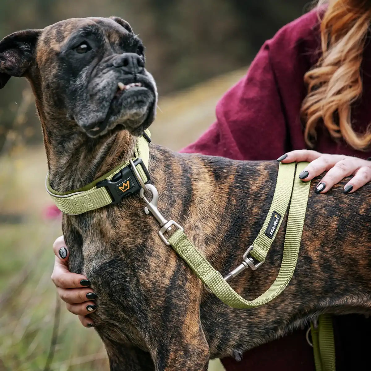 Rudelkönig Frida Guinzaglio Cane Khaki Regolabile 360°