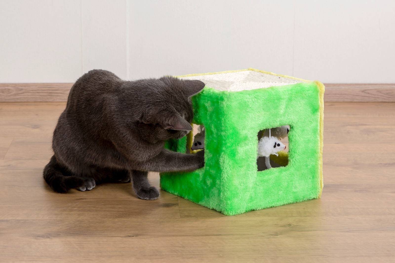 Kerbl Pet Sisal Toy Würfel gioco gatto sisal con topolini