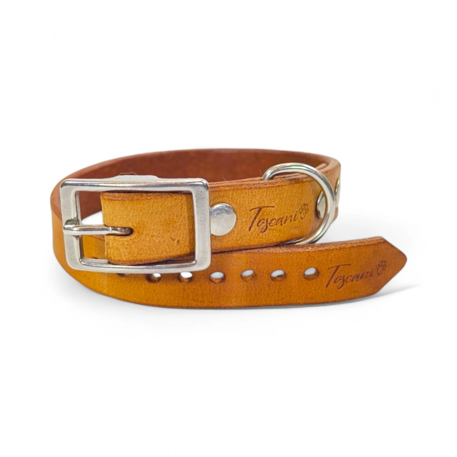 Toscani Cuoio Collare Cane Taglia Media Pelle 20mm Artigianale
