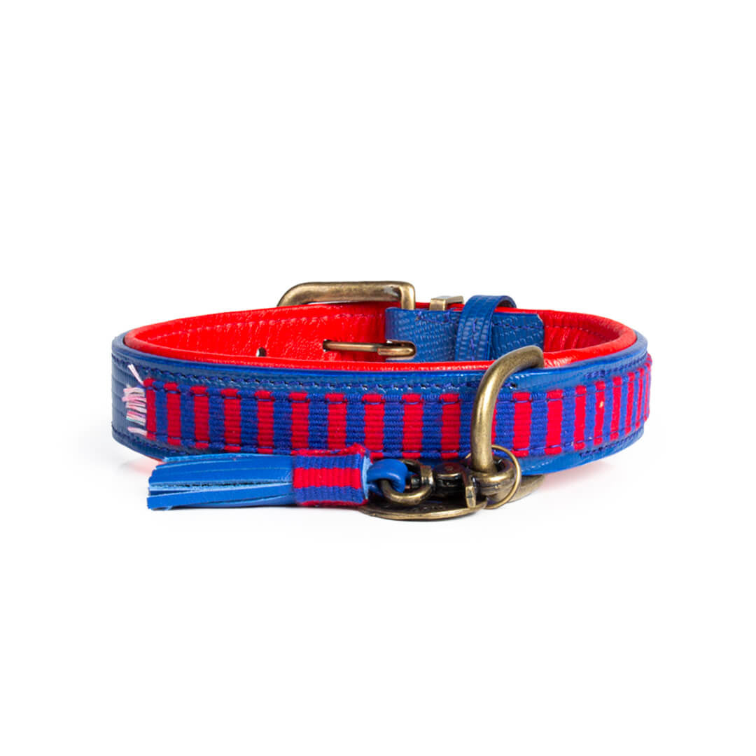 Dog with a Mission Mr Clooney collare cane XXS righe 22-24 cm