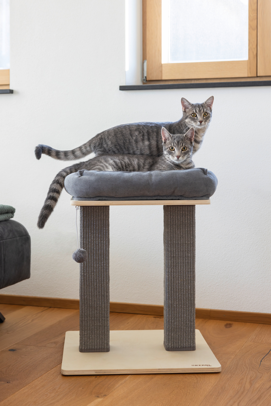 Kerbl Pet Cat Scratch Noah I tiragraffi con cuccia