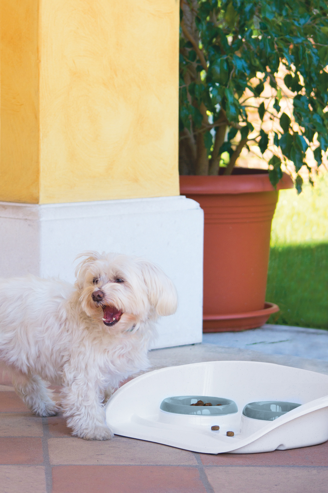 Kerbl Pet Feeding Bar ciotola gatto doppia in plastica