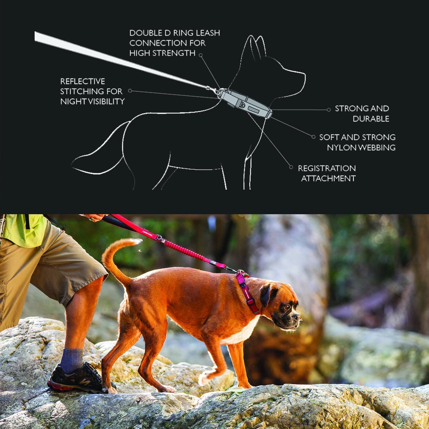 EzyDog Double Up Collare per Cani Small Rosa Riflettente