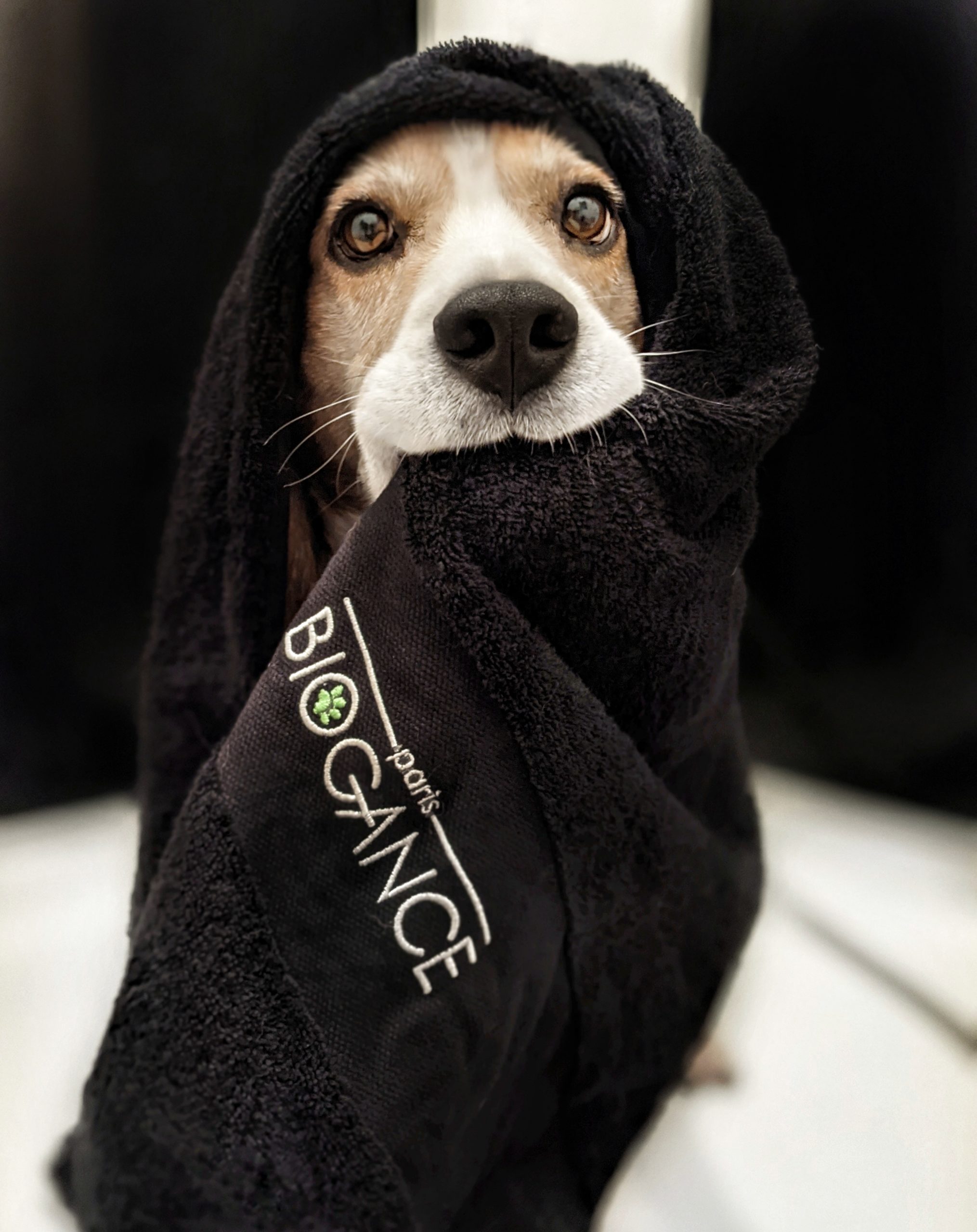 Biogance Asciugamano Bagno Cane Gatto in Cotone