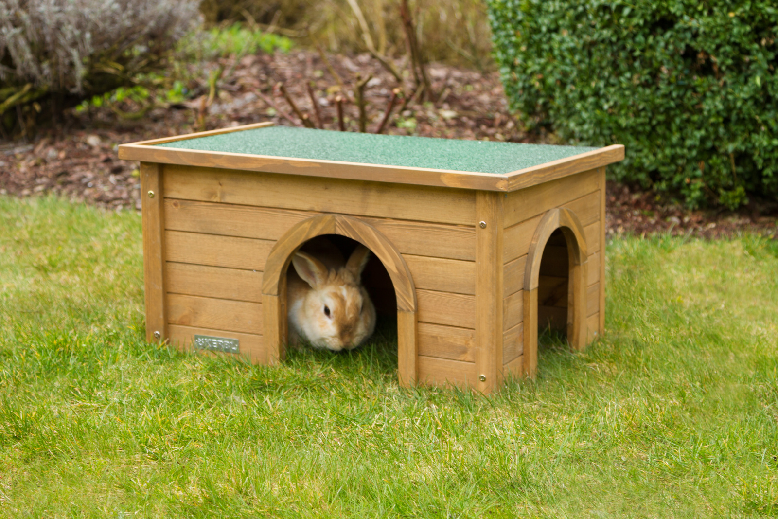 Kerbl Pet Rodent House casetta legno tetto bitume per roditori
