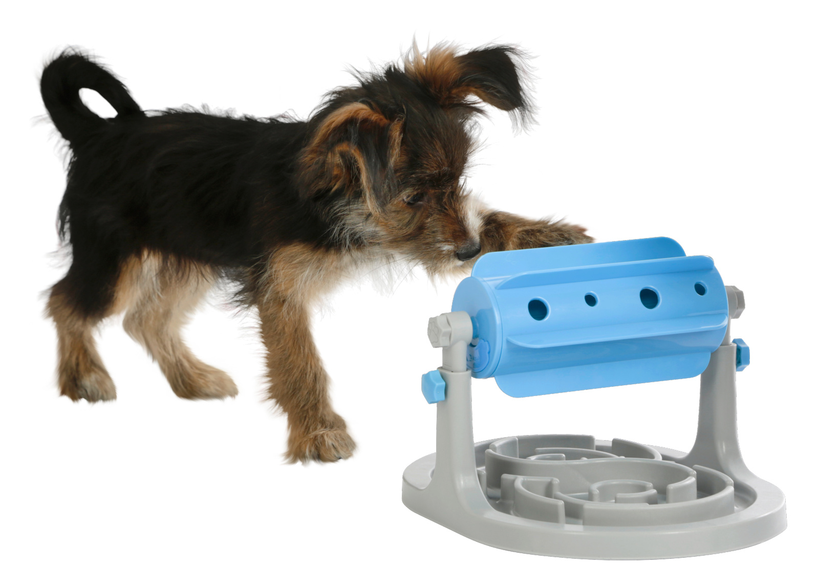 Kerbl Pet Snack Roll Anti-Schling gioco snack per cani