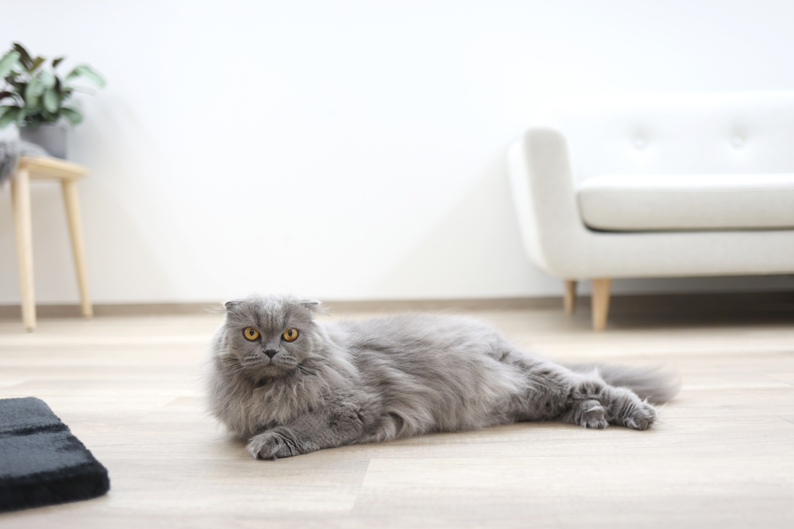 Kerbl Pet Cat Scratch tiragraffi 4 angoli sisal con topini