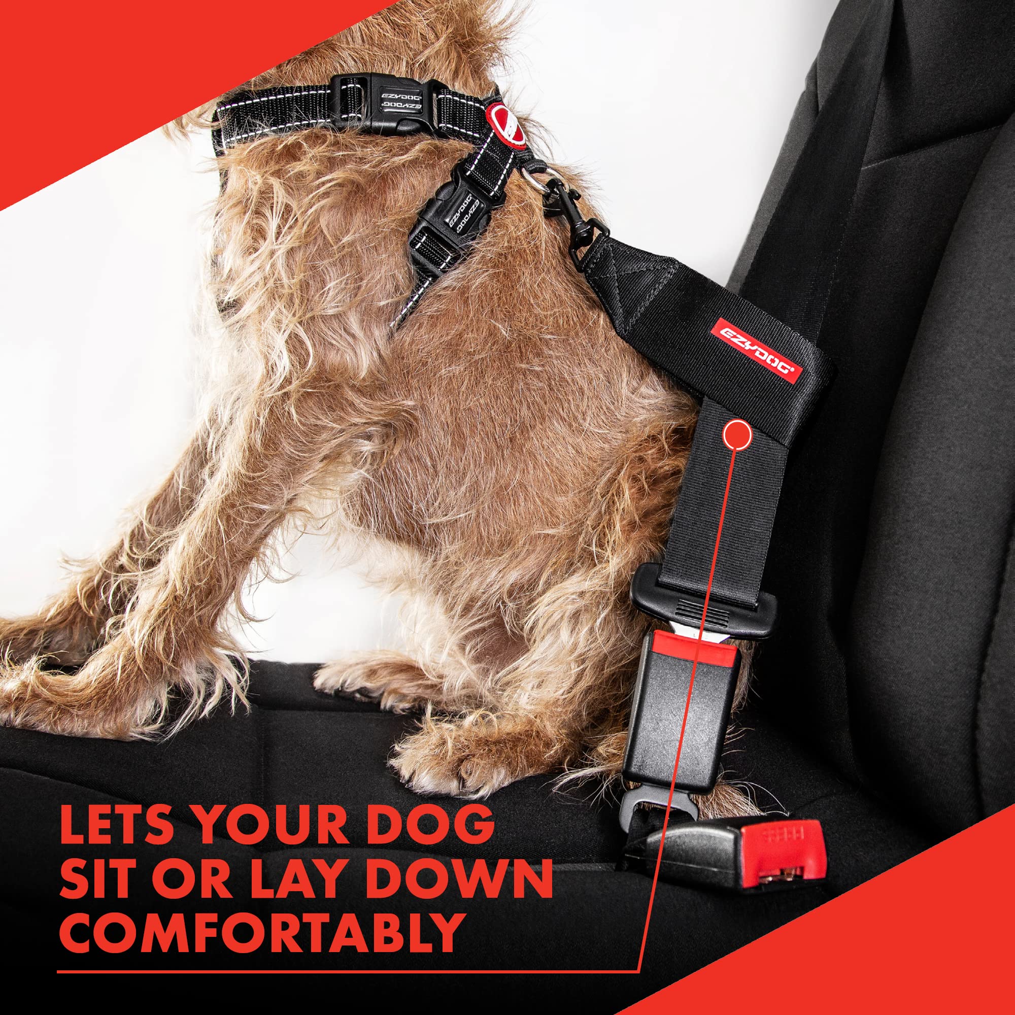 EzyDog Travel Accessories Cintura Auto Cane Nera Universale