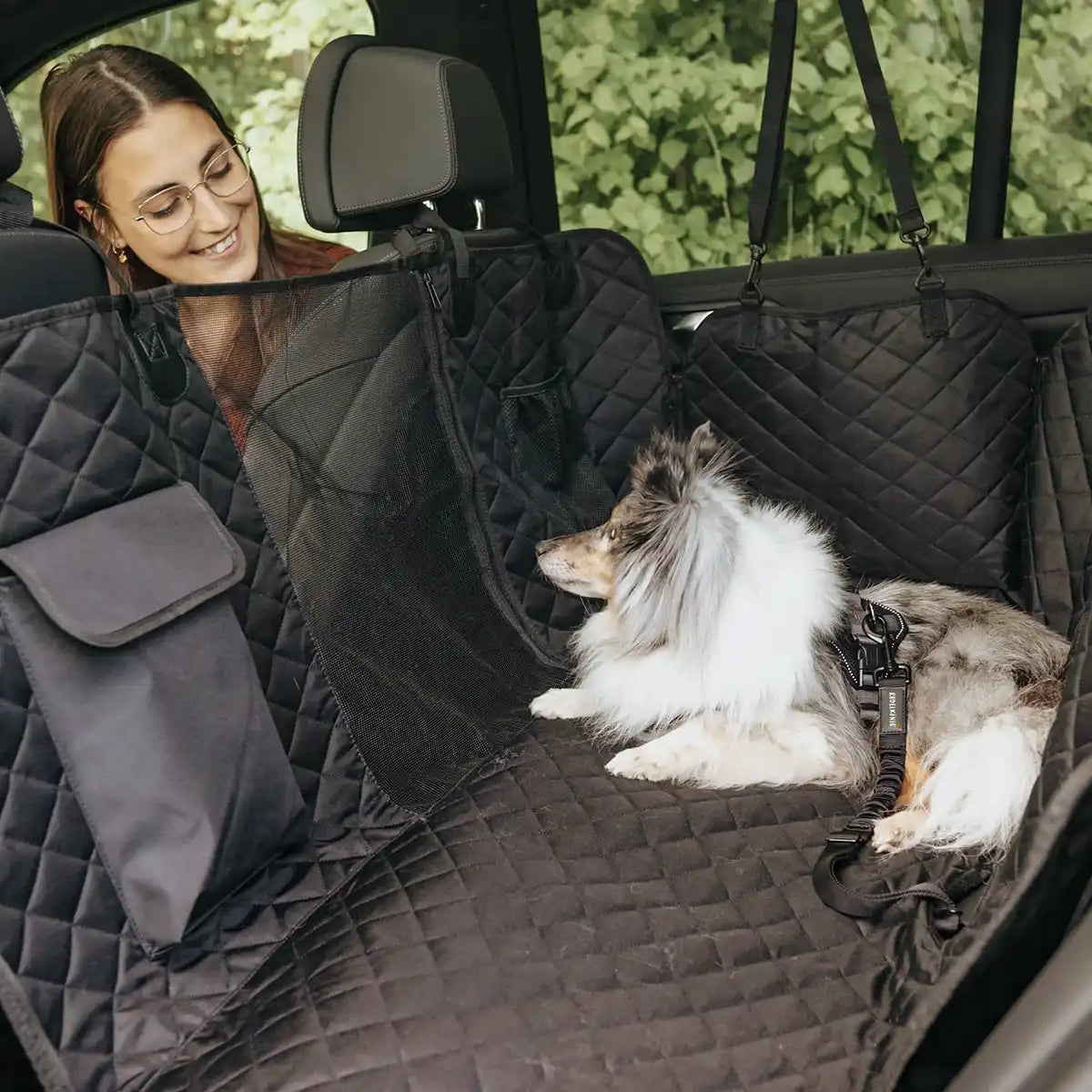 Rudelkönig Reise-Set kit auto cane nero trapuntato