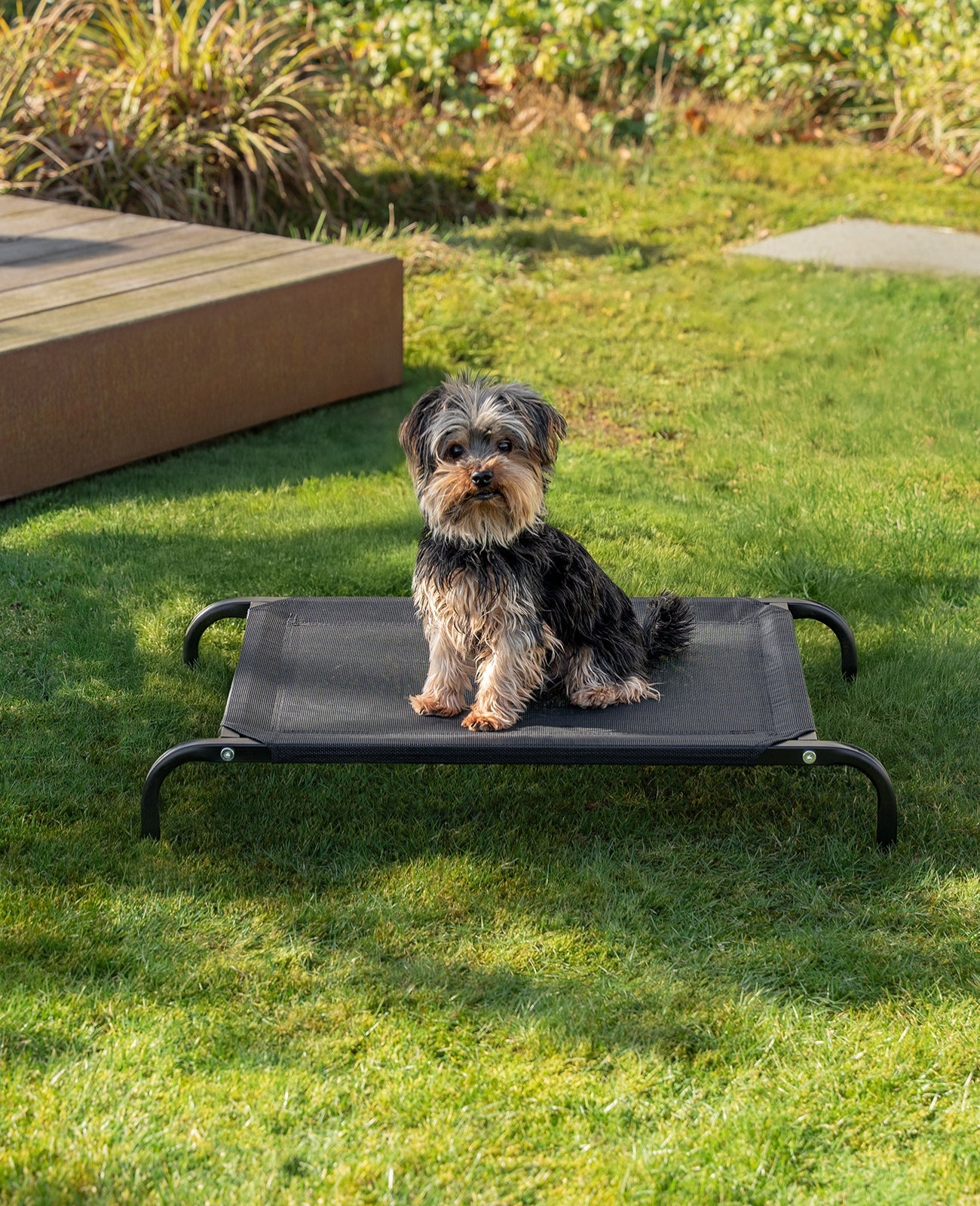 Lionto Hundebetten brandina rialzata cani nera 114x76 cm estiva