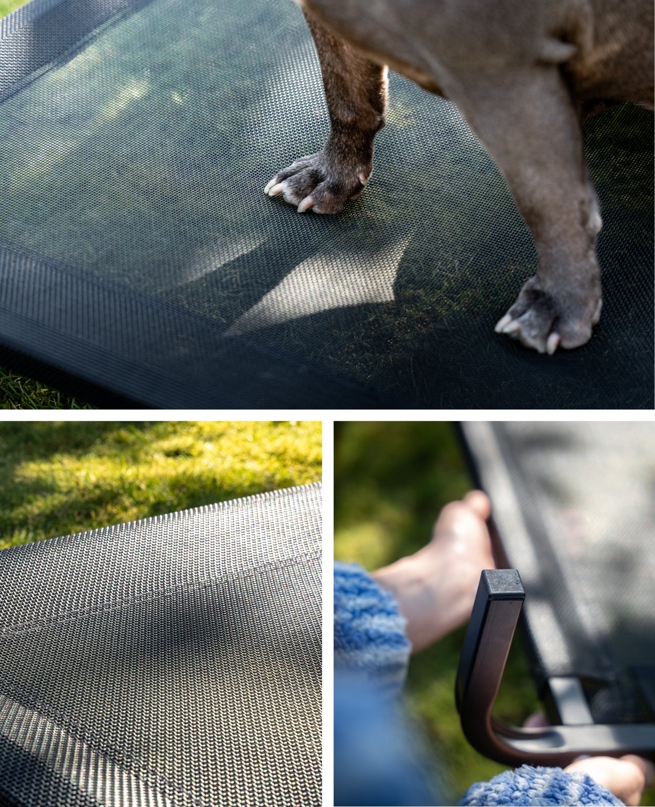 Lionto Hundebetten brandina rialzata cani nera 114x76 cm estiva