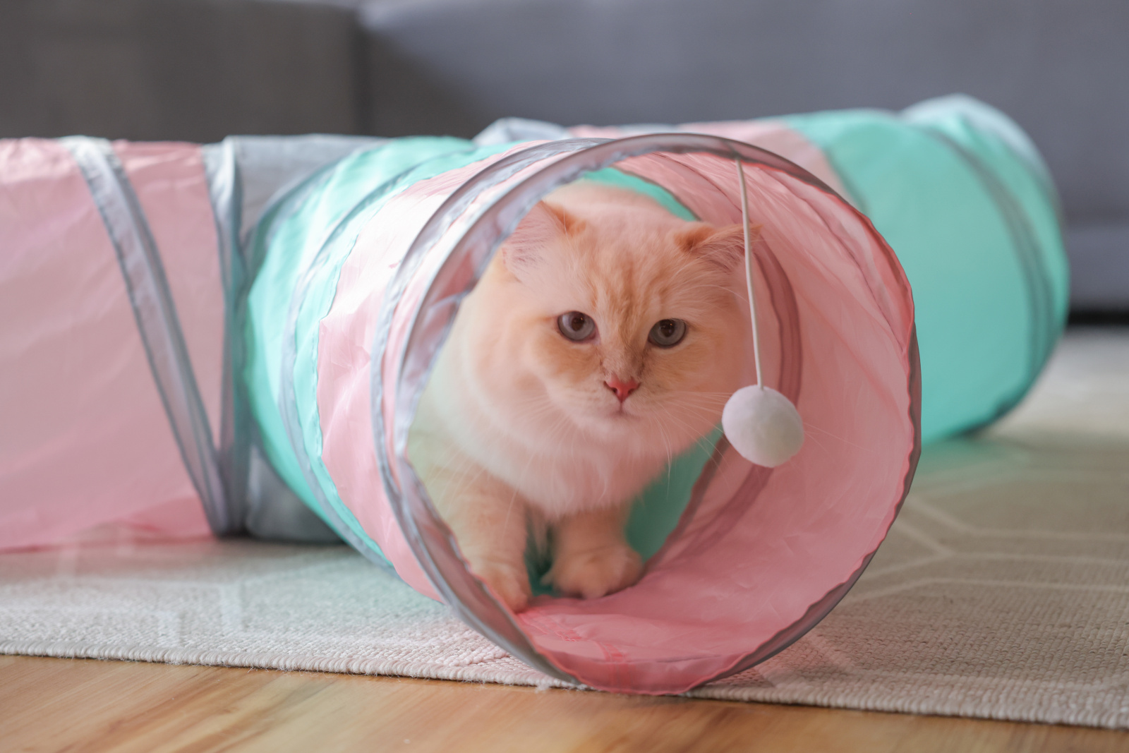 Kerbl Pet Tunnel Triangle giocattolo gatto 4 ingressi pieghevole