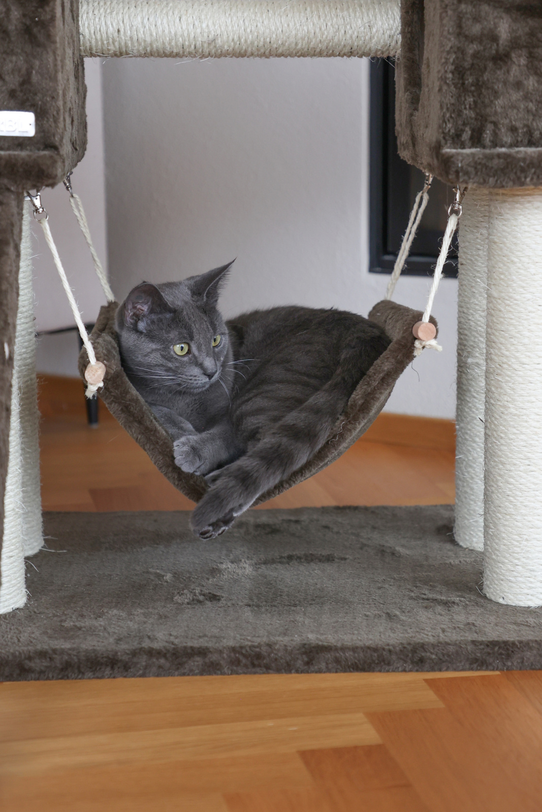 Kerbl Pet Cat Tree Granat tiragraffi gatto con amaca