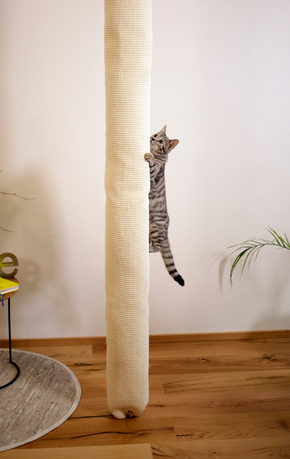 Kerbl Pet Climbing Bag Climber Sacco arrampicata gatti sisal