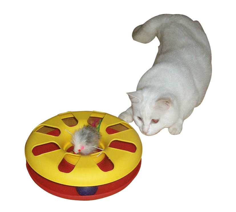 Kerbl Pet Racing Wheel pista gioco gatto con pallina e topo