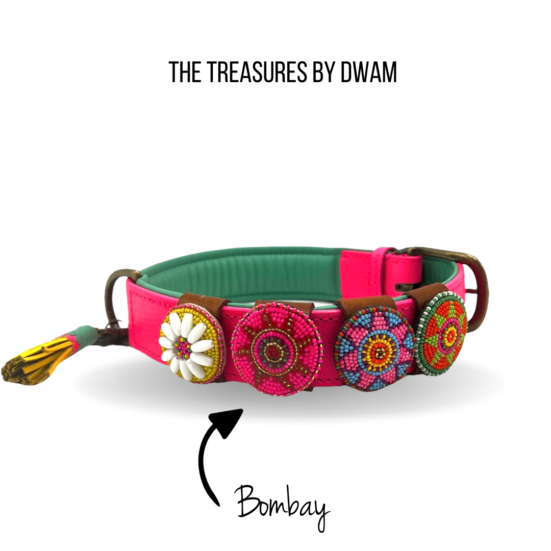 Dog with a Mission Bombay Treasure accessorio collare cane S