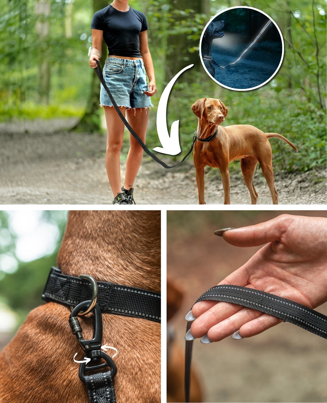 Lionto Hunde-Spaziergang guinzaglio gommato riflettente 1,70 m