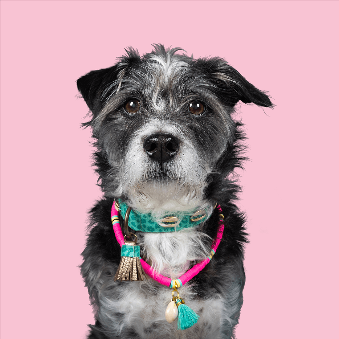 Dog with a Mission Bondi Beach collana cane XL rosa fino 60 cm