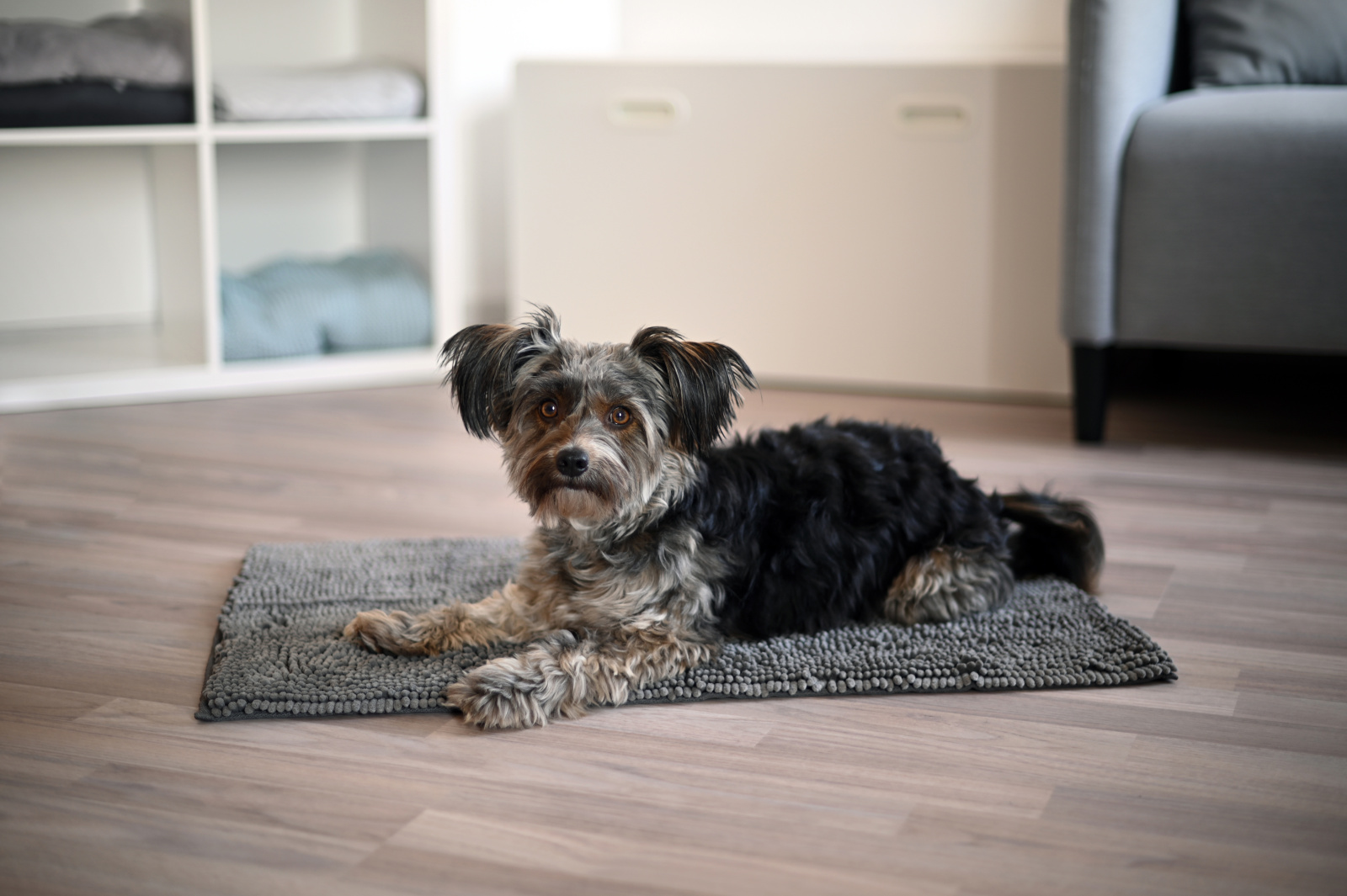 Kerbl Pet SuperBed Doormat tappeto cane microfibra assorbente